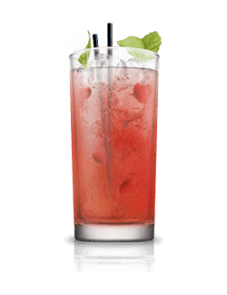 Gin Basil Raspberry